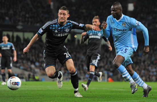 灰熊的持续 灰熊的持续